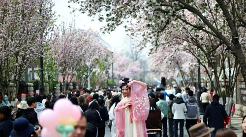 陜西實(shí)施重點(diǎn)文旅產(chǎn)業(yè)補(bǔ)鏈延鏈強(qiáng)鏈行動(dòng)